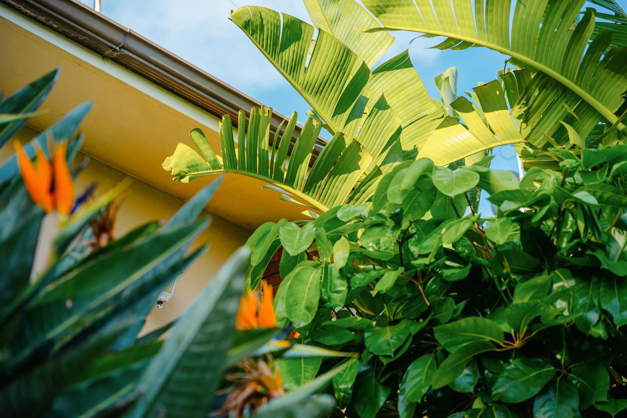 Bondi 4br House Holiday home