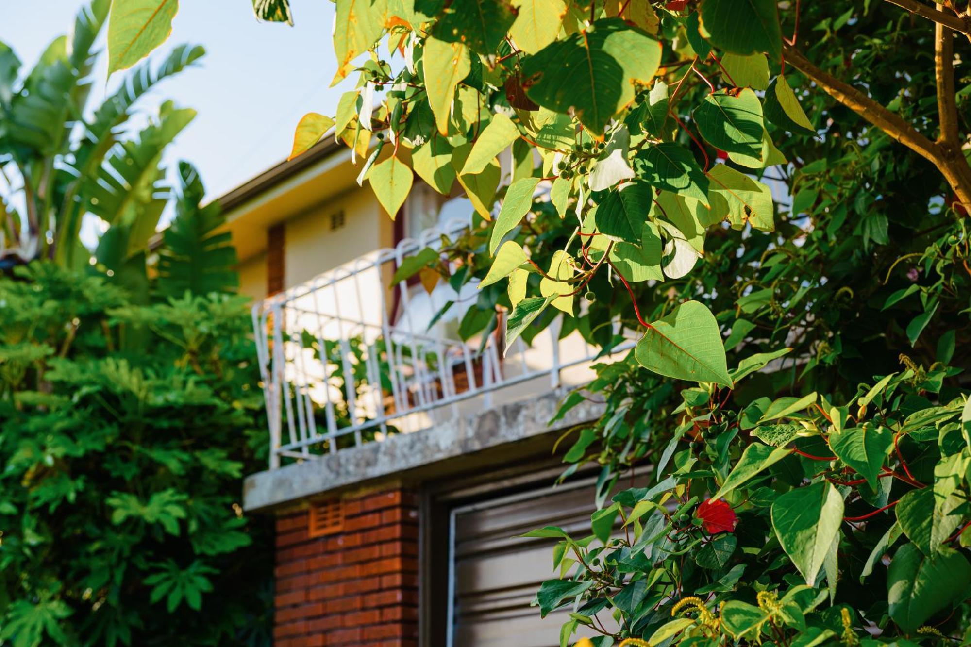 Bondi 4br House *